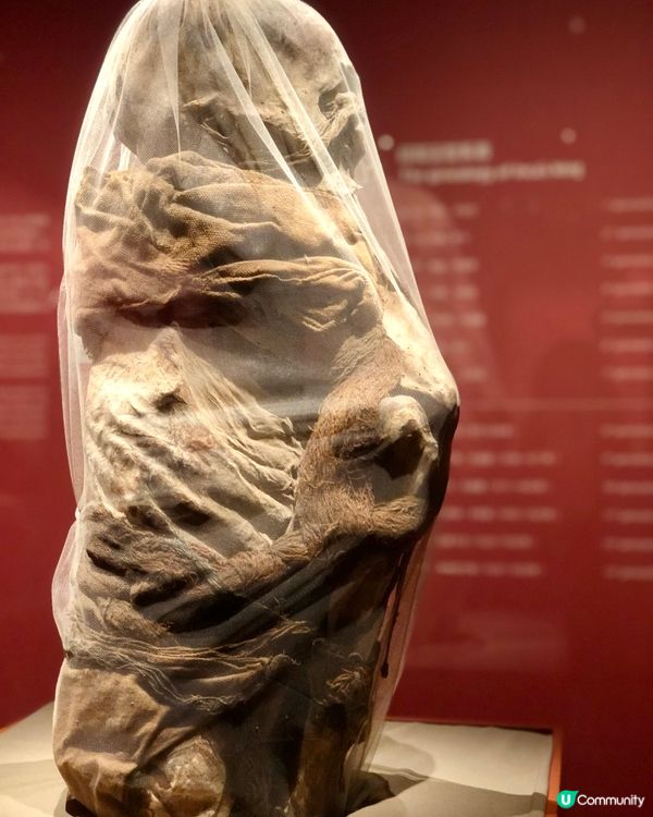 穿越印加帝國｜驚見木乃伊😱｜太陽的子民｜南山博物館展覽