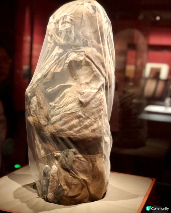 穿越印加帝國｜驚見木乃伊😱｜太陽的子民｜南山博物館展覽