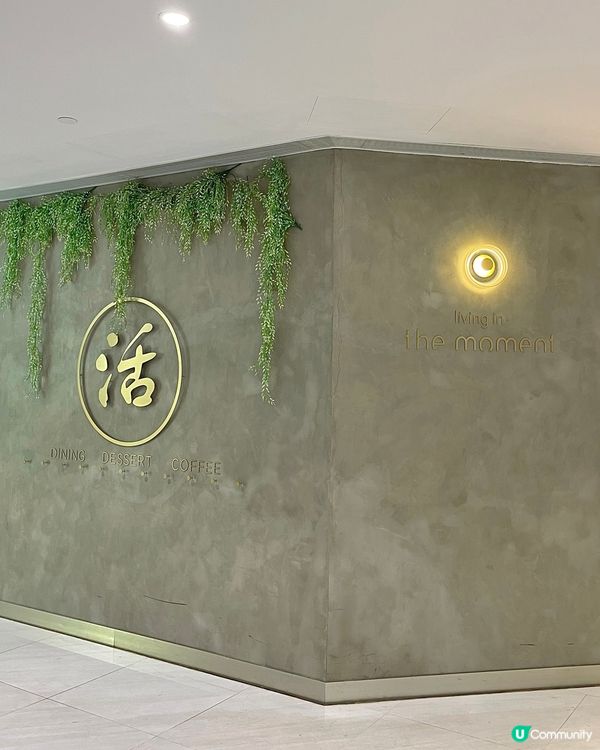 北角✨超chill舒適cafe推介