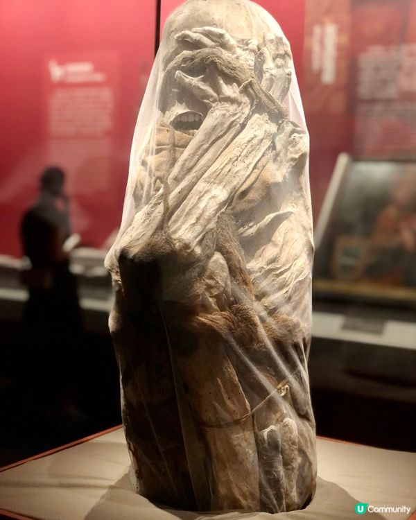 穿越印加帝國｜驚見木乃伊😱｜太陽的子民｜南山博物館展覽