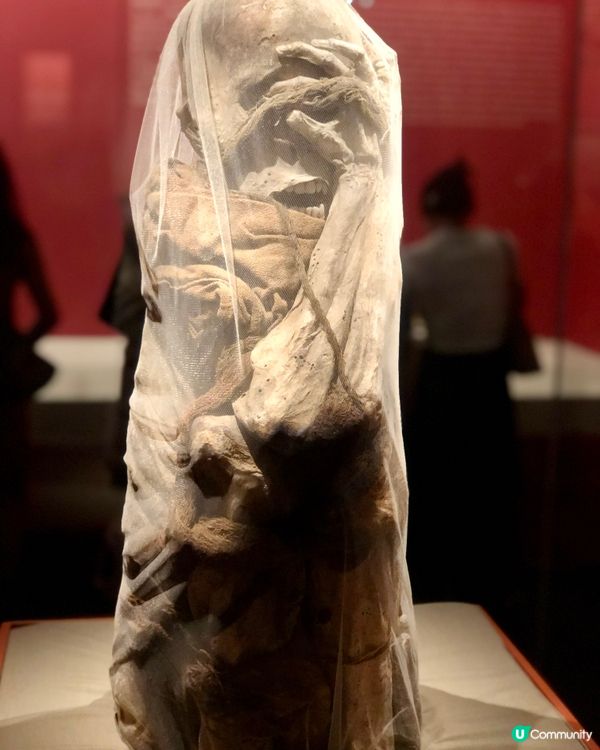 穿越印加帝國｜驚見木乃伊😱｜太陽的子民｜南山博物館展覽