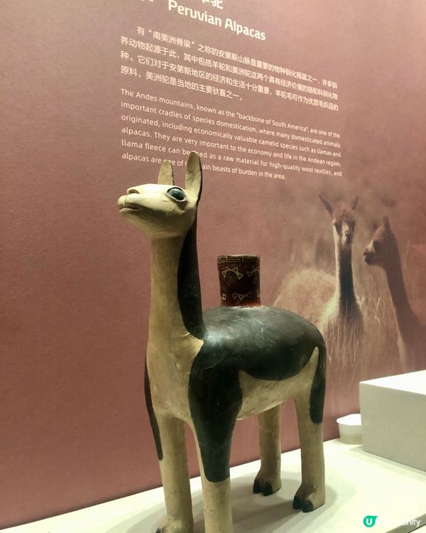 穿越印加帝國｜驚見木乃伊😱｜太陽的子民｜南山博物館展覽