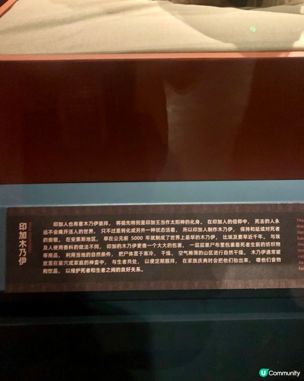 穿越印加帝國｜驚見木乃伊😱｜太陽的子民｜南山博物館展覽