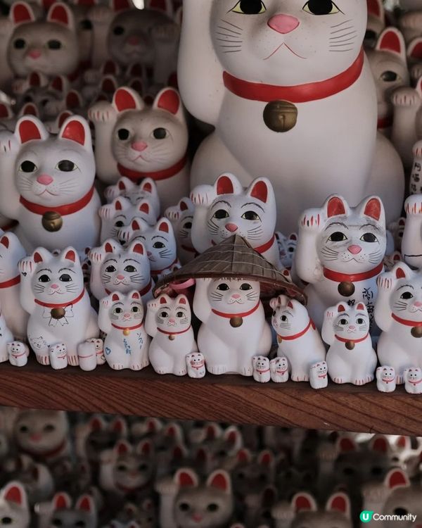 🇯🇵超多招財貓😻😻必去景點豪德寺