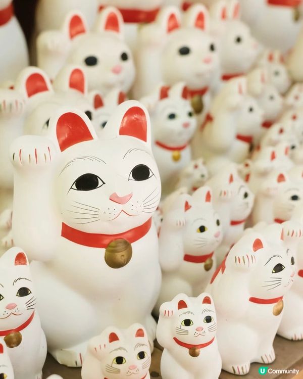 🇯🇵超多招財貓😻😻必去景點豪德寺