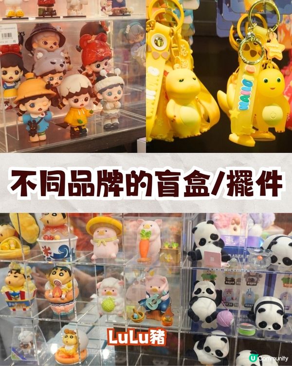 深圳必逛番茄口袋文創天堂🔥哈利波特/星之卡比/線條小狗周邊❗️