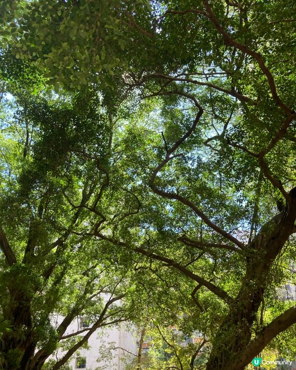 走走深水埗的西九龍