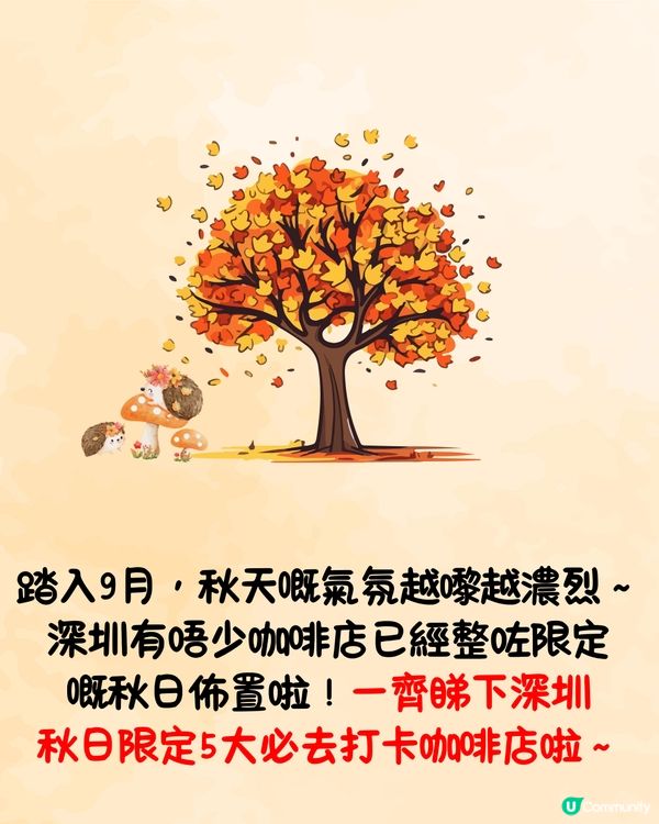 深圳限定秋日佈置🍂5大必打卡咖啡店☕️60000片銀杏葉佈置氣氛浪漫～