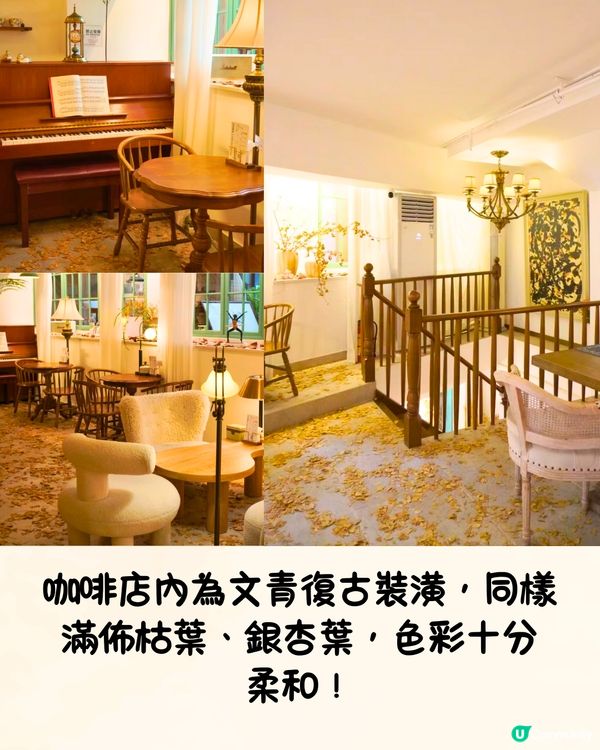 深圳限定秋日佈置🍂5大必打卡咖啡店☕️60000片銀杏葉佈置氣氛浪漫～