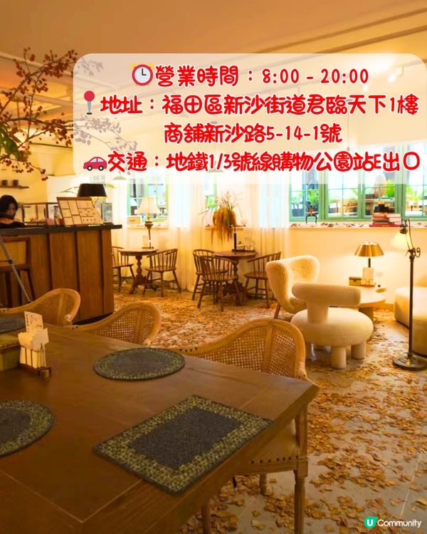 深圳限定秋日佈置🍂5大必打卡咖啡店☕️60000片銀杏葉佈置氣氛浪漫～