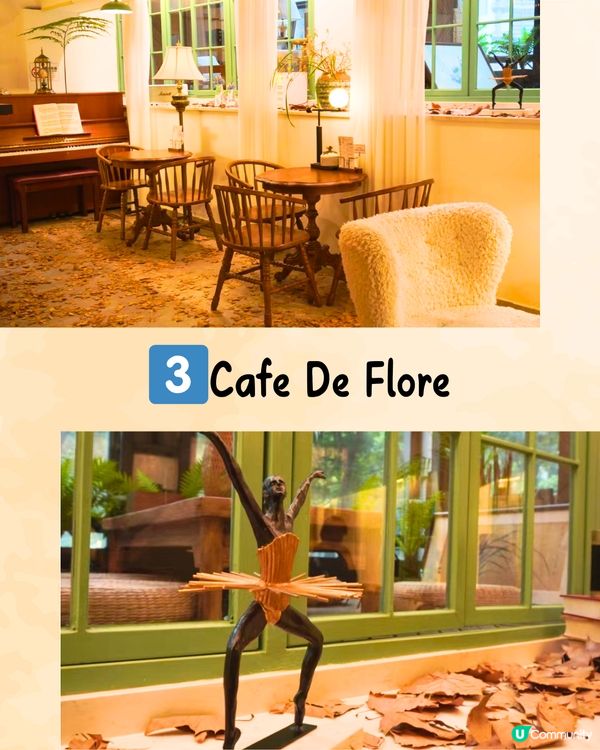 深圳限定秋日佈置🍂5大必打卡咖啡店☕️60000片銀杏葉佈置氣氛浪漫～