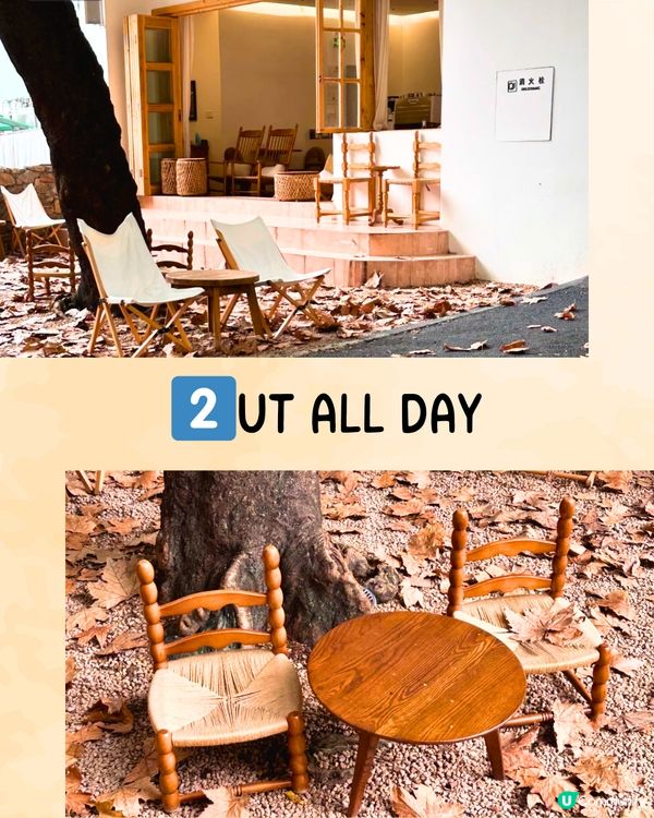 深圳限定秋日佈置🍂5大必打卡咖啡店☕️60000片銀杏葉佈置氣氛浪漫～