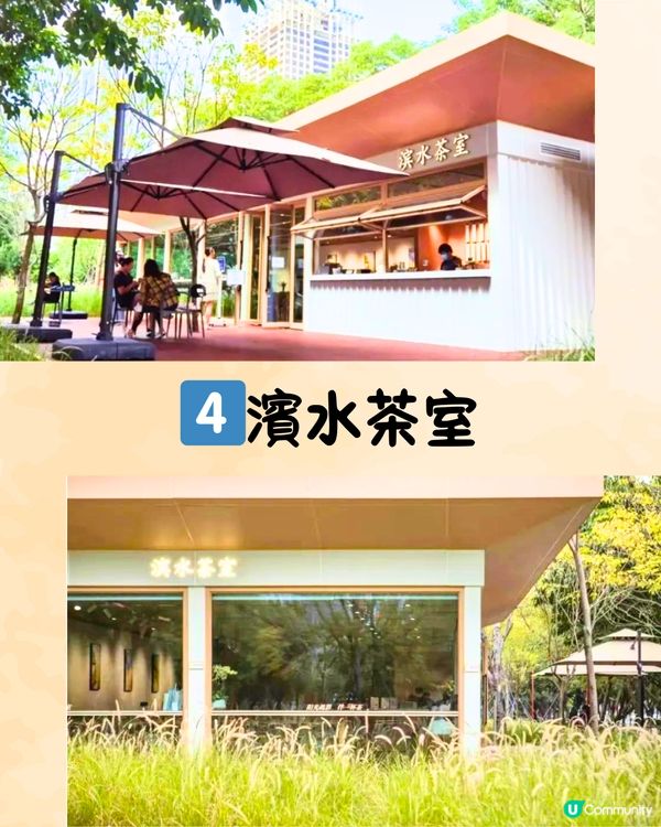 深圳限定秋日佈置🍂5大必打卡咖啡店☕️60000片銀杏葉佈置氣氛浪漫～