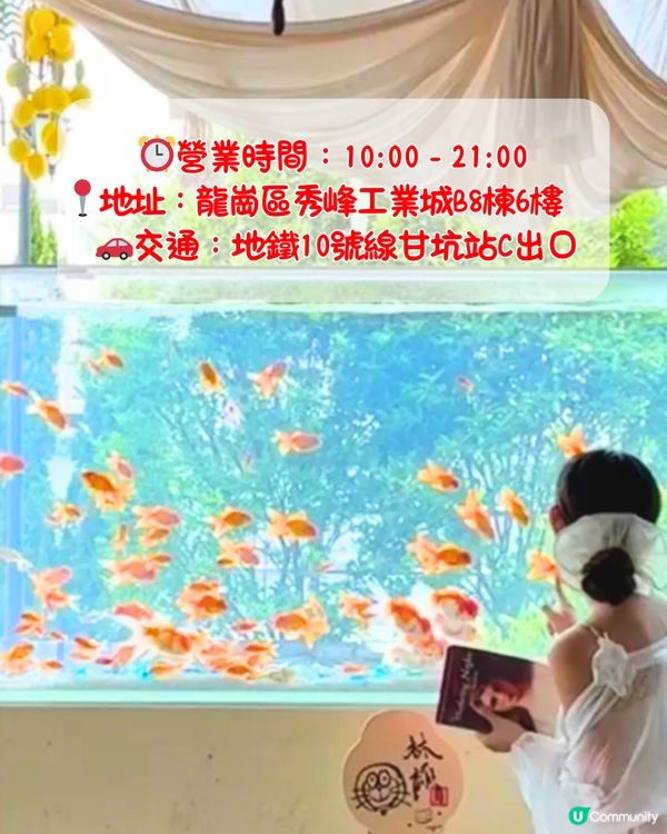 深圳限定秋日佈置🍂5大必打卡咖啡店☕️60000片銀杏葉佈置氣氛浪漫～