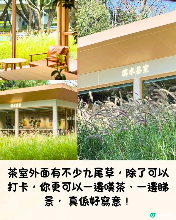 深圳限定秋日佈置🍂5大必打卡咖啡店☕️60000片銀杏葉佈置氣氛浪漫～