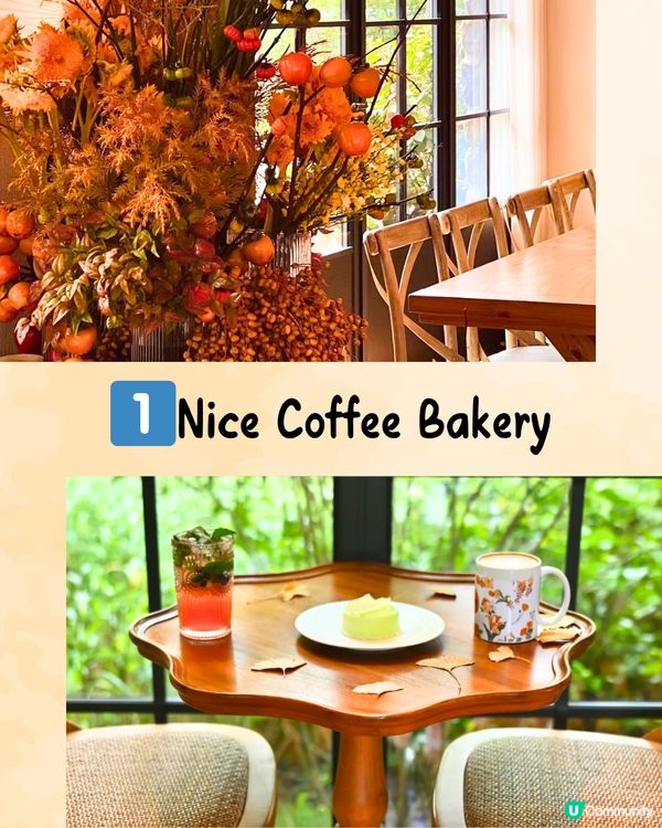 深圳限定秋日佈置🍂5大必打卡咖啡店☕️60000片銀杏葉佈置氣氛浪漫～