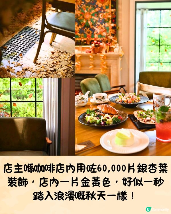 深圳限定秋日佈置🍂5大必打卡咖啡店☕️60000片銀杏葉佈置氣氛浪漫～