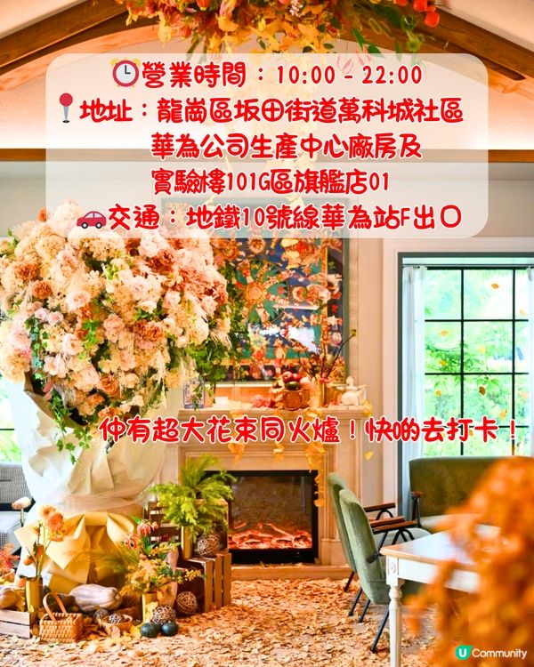 深圳限定秋日佈置🍂5大必打卡咖啡店☕️60000片銀杏葉佈置氣氛浪漫～