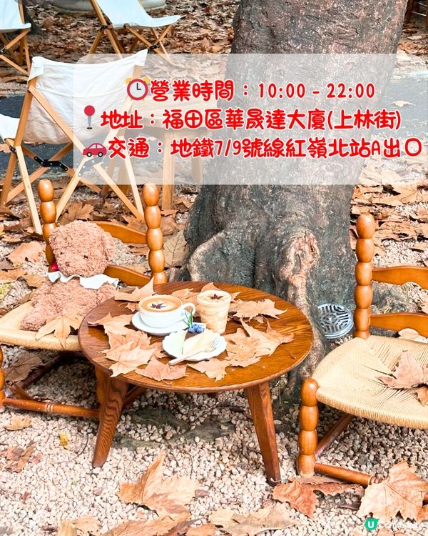 深圳限定秋日佈置🍂5大必打卡咖啡店☕️60000片銀杏葉佈置氣氛浪漫～