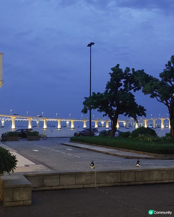 ## 萊斯酒店住後感：舒適寬敞，打卡一流🤩