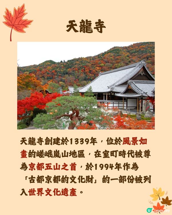 日本紅葉2024🍁入手秋季限定紅葉御守😍附詳細地址及交通🚗