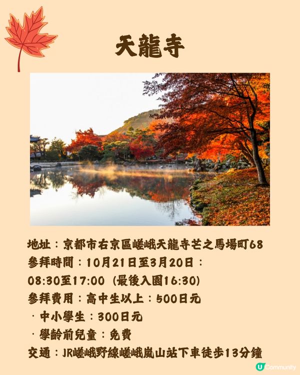 日本紅葉2024🍁入手秋季限定紅葉御守😍附詳細地址及交通🚗