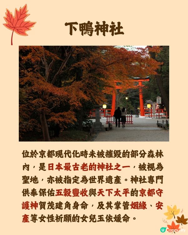 日本紅葉2024🍁入手秋季限定紅葉御守😍附詳細地址及交通🚗