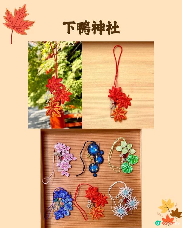 日本紅葉2024🍁入手秋季限定紅葉御守😍附詳細地址及交通🚗