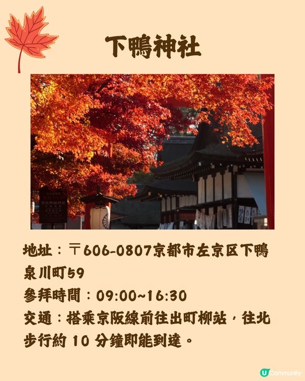 日本紅葉2024🍁入手秋季限定紅葉御守😍附詳細地址及交通🚗