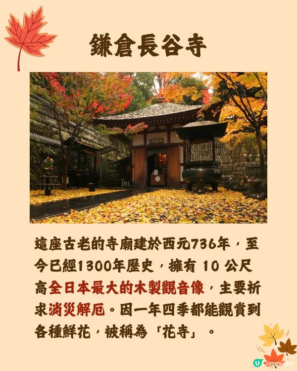 日本紅葉2024🍁入手秋季限定紅葉御守😍附詳細地址及交通🚗