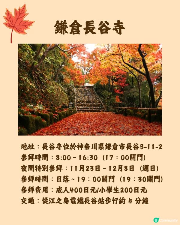 日本紅葉2024🍁入手秋季限定紅葉御守😍附詳細地址及交通🚗