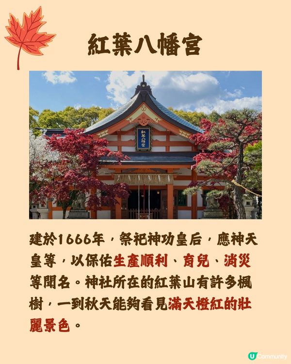 日本紅葉2024🍁入手秋季限定紅葉御守😍附詳細地址及交通🚗