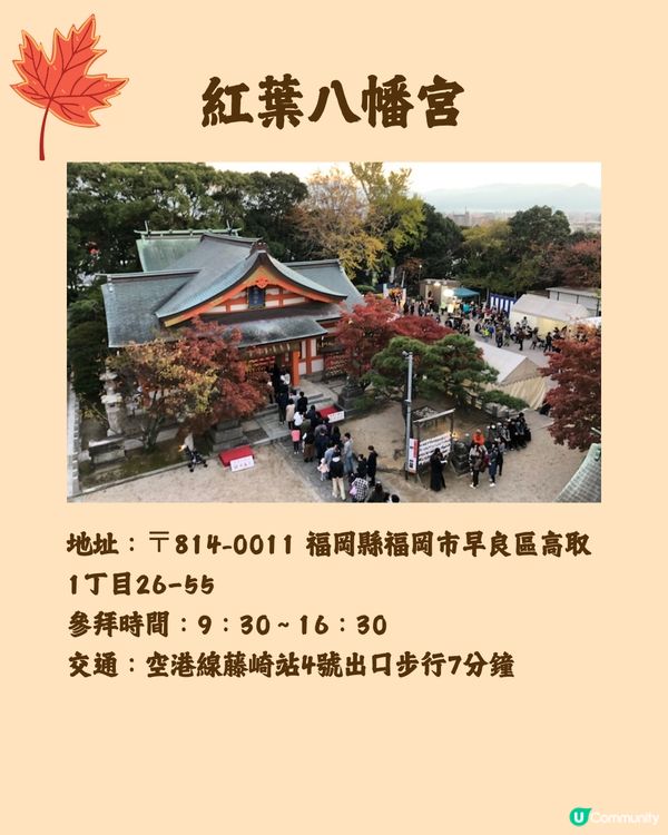 日本紅葉2024🍁入手秋季限定紅葉御守😍附詳細地址及交通🚗