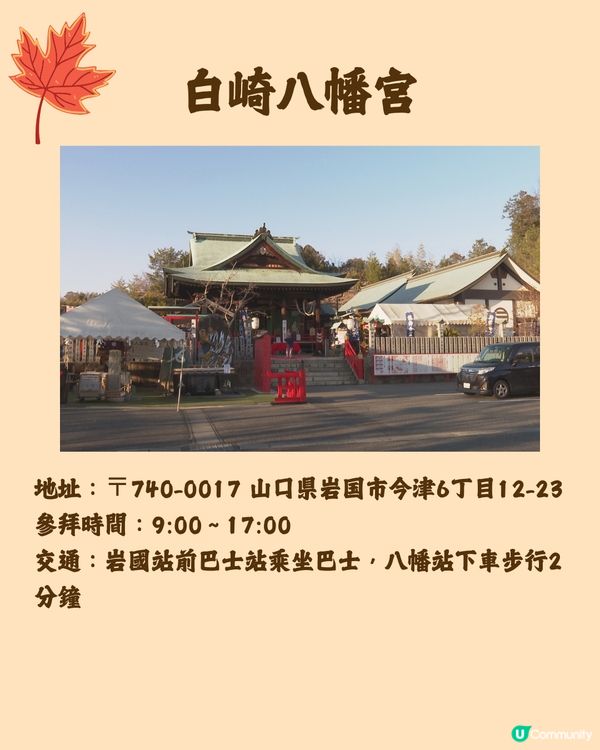 日本紅葉2024🍁入手秋季限定紅葉御守😍附詳細地址及交通🚗