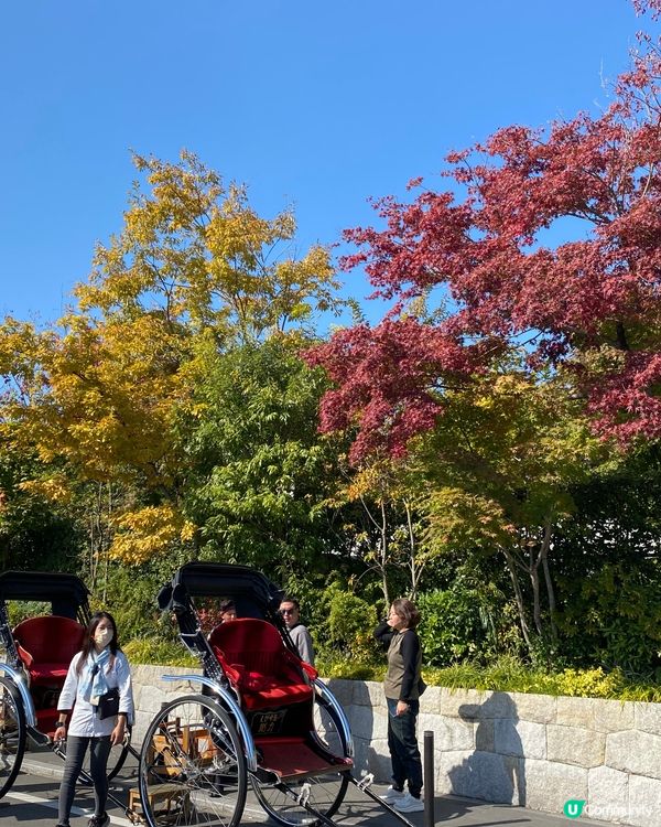 ## 大阪京都紅葉之旅🍂🍁  
## 嵐山天龍寺🍁永觀堂禪林