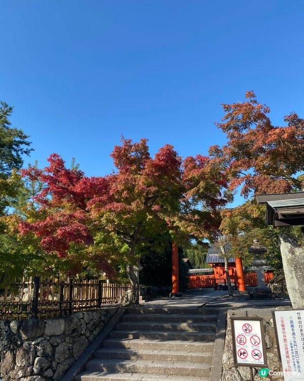 ## 大阪京都紅葉之旅🍂🍁  
## 嵐山天龍寺🍁永觀堂禪林