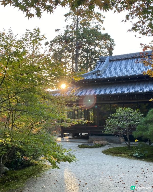 ## 大阪京都紅葉之旅🍂🍁  
## 嵐山天龍寺🍁永觀堂禪林