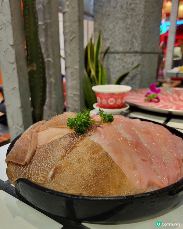 深圳 ︳大排長龍的朱光玉