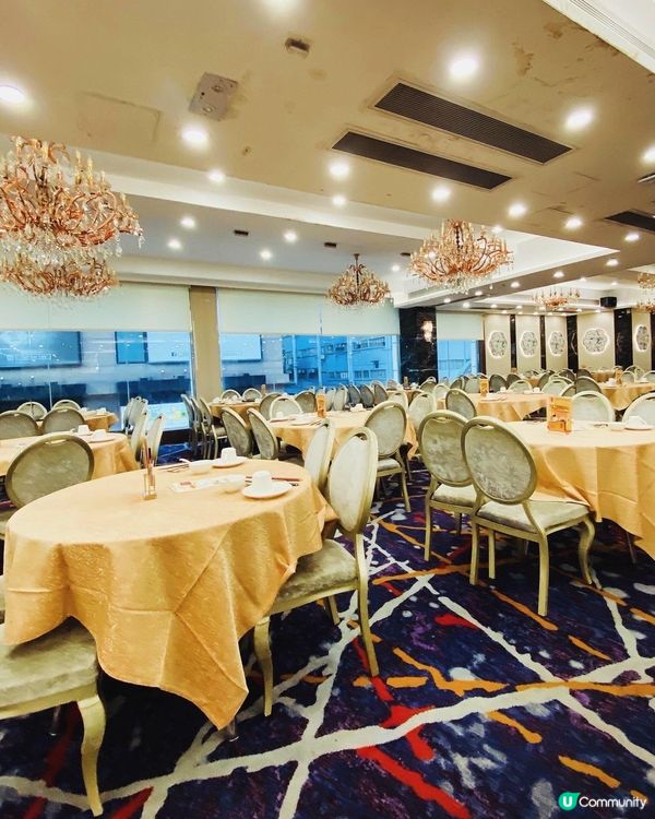 土瓜灣➡️➡️➡️盈苑海鮮酒家