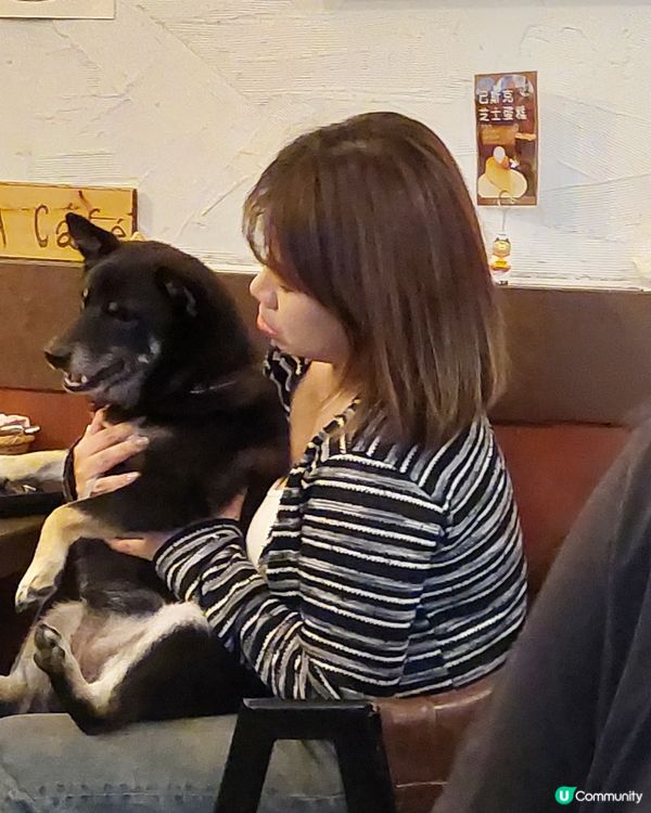 狗友善Cafe