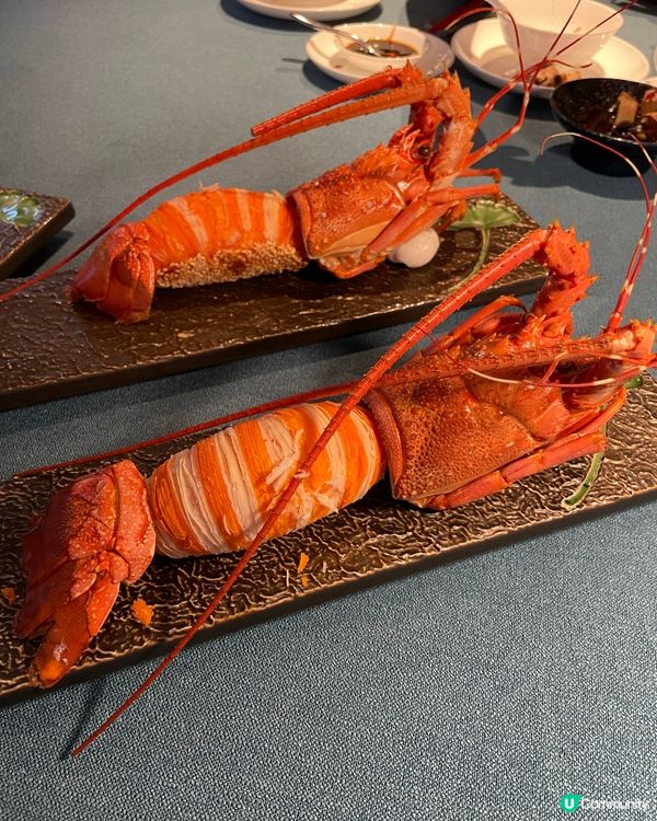 環境和服務不錯,食物味道有待改善