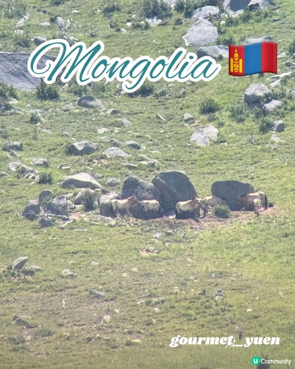 蒙古國 - 哈思台國家公園
