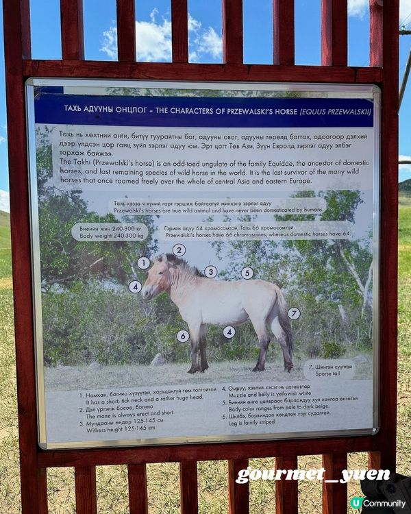 蒙古國 - 哈思台國家公園