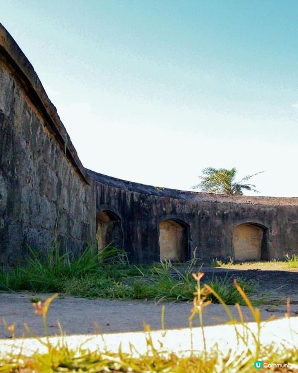 ## 太白社區古蹟探秘 碉堡遺跡等你來尋 🏯