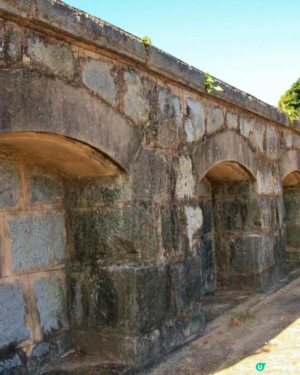 ## 太白社區古蹟探秘 碉堡遺跡等你來尋 🏯