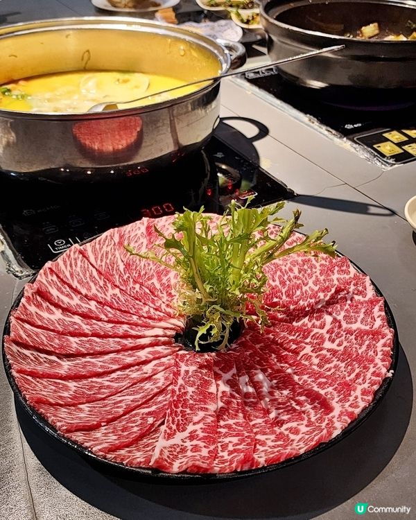 太子雞煲熱潮🔥 鮮雞湯底正爆！