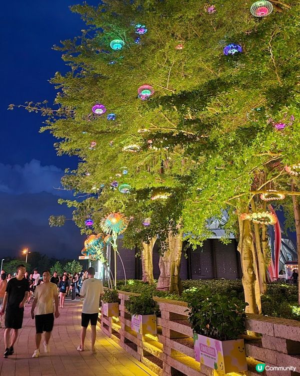 深圳歡樂海岸✨️免費睇煙花表演🎆