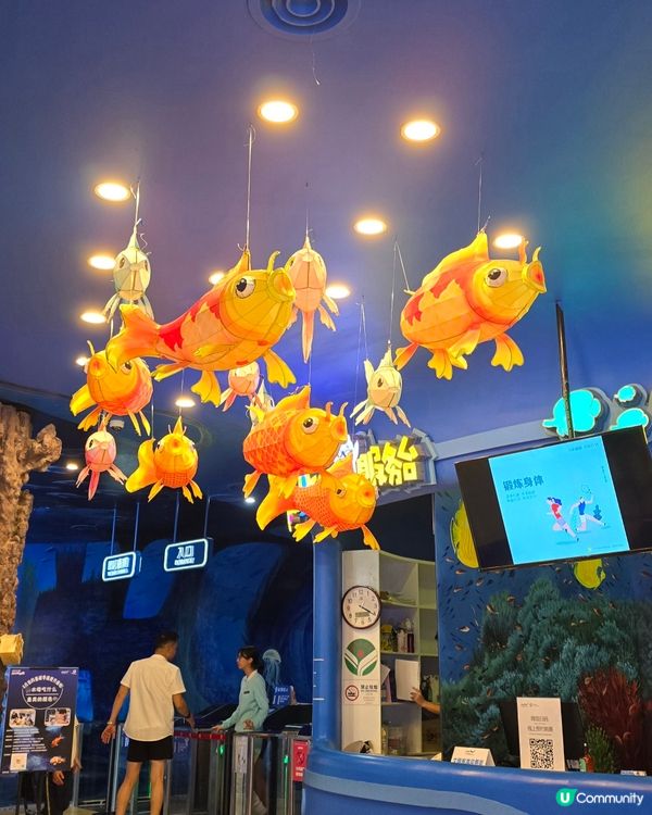 深圳歡樂海岸✨️免費睇煙花表演🎆