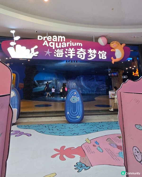 深圳歡樂海岸✨️免費睇煙花表演🎆