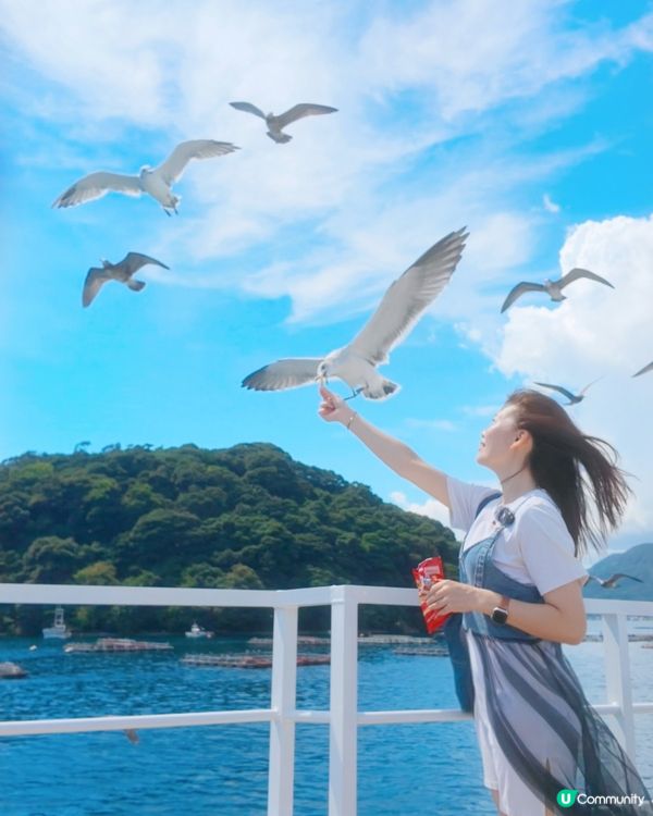 人生必要試一次，俾海鷗呃蝦條🤣